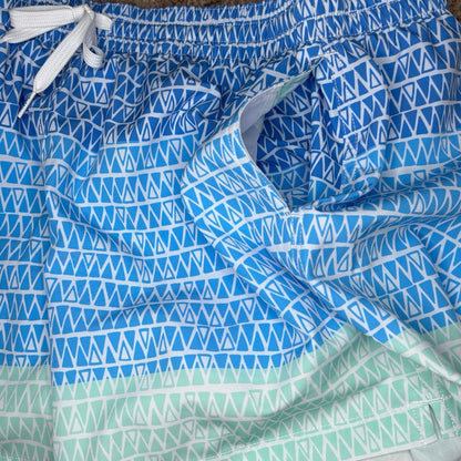 Chubbies The Ocean Trifecta 5.5" Swim Trunks Size S