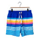 Chubbies The Newports 5.5” Classic Swim Trunk Blue Stripe Size L