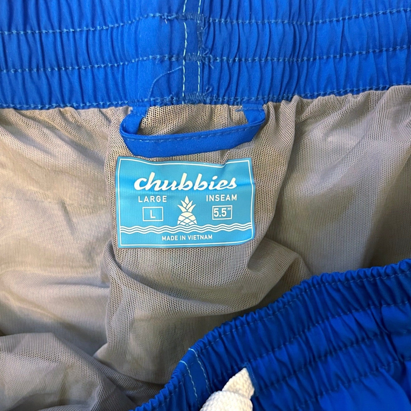 Chubbies The Newports 5.5” Classic Swim Trunk Blue Stripe Size L